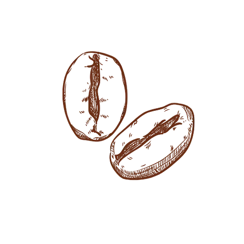 logo grano café